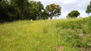 Land for sale in Figueira da Foz, Portugal — €55,000