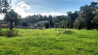 Land for sale in Cantanhede, Portugal — €25,000