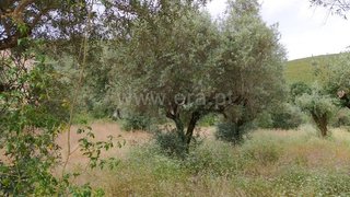 Land for sale in Ourém, Portugal — €15,000