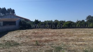 Terreno em Cantanhede