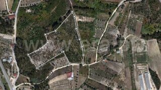 Land for sale in Cantanhede, Portugal — €75,000