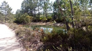Land for sale in Torres Novas, Portugal — €15,000