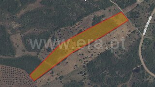 Terreno em Santarém · 19 660 m² · 27 000 €