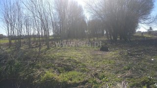 Land for sale in Cantanhede, Portugal — €31,000
