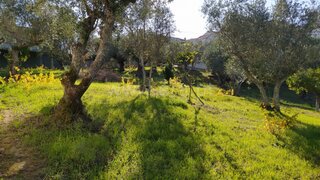 Land for sale in Ourém, Portugal — €27,000
