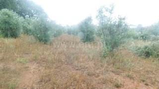 Land for sale in Covilhã, Portugal — €10,000