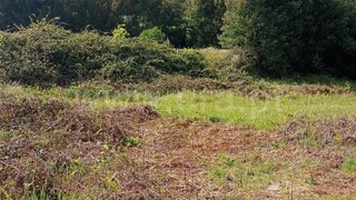 Land for sale in Oliveira do Hospital, Portugal — €85,000