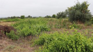 Land for sale in Abrantes, Portugal — €40,000