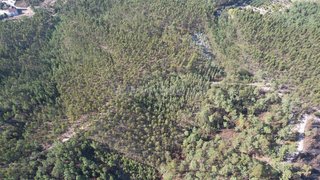 Land for sale in Ourém, Portugal — €39,000