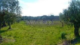 Land for sale in Torres Novas, Portugal — €22,500