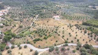 Land for sale in Tomar, Portugal — €32,000