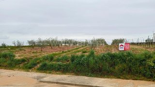 Land for sale in Alpiarça, Portugal — €260,000