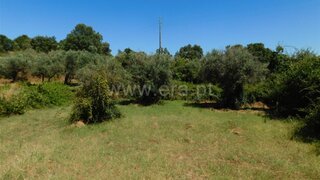 Land for sale in Fundão, Portugal — €8,000