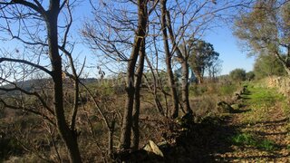 Land for sale in Penamacor, Portugal — €8,500