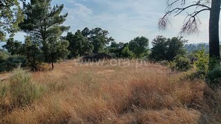 Land for sale in Fundão, Portugal — €18,000