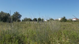Terreno de 5760 m² em Santarém