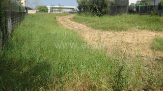 Land for sale in Cantanhede, Portugal — €120,000