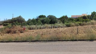 Land for sale in Torres Novas, Portugal