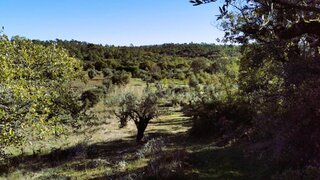 Land for sale in Tomar, Portugal — €9,900