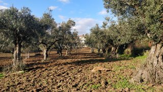 Land for sale in Fundão, Portugal — €22,500