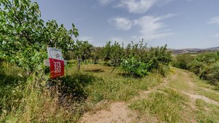Land for sale in Covilhã, Portugal — €40,000