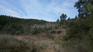 Land for sale in Proença-a-Nova, Portugal — €13,000
