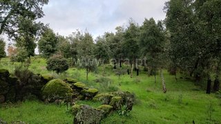Land for sale in Idanha-a-Nova, Portugal — €15,000