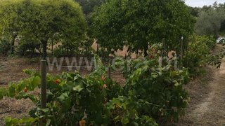 Land for sale in Ferreira do Zêzere, Portugal — €60,000
