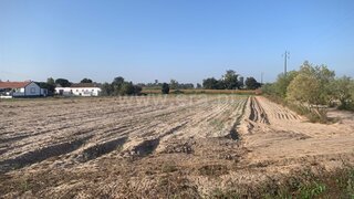 Land for sale in Salvaterra de Magos, Portugal — €390,000