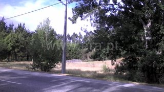 Land for sale in Cantanhede, Portugal — €49,500