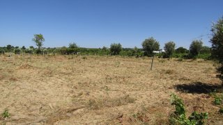 Land for sale in Abrantes, Portugal — €106,000