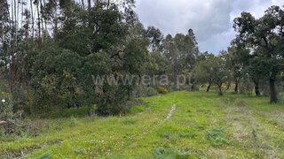 Terreno em Salvaterra de Magos