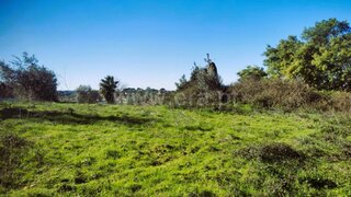 Land for sale in Tomar, Portugal — €50,000