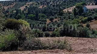 Land for sale in Torres Novas, Portugal — €40,000