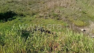 Land for sale in Vila Nova da Barquinha, Portugal — €100,000