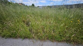 Land for sale in Pampilhosa da Serra, Portugal — €15,000