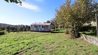 Terreno em Aguiar da Beira