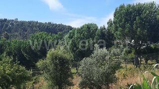 Land for sale in Vila Nova da Barquinha, Portugal — €21,500