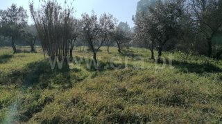Land for sale in Abrantes, Portugal — €32,500