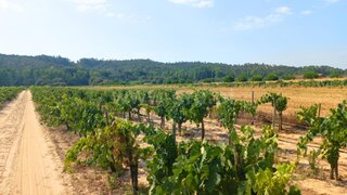 Land for sale in Almeirim, Portugal — €27,500