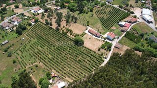 Land for sale in Ferreira do Zêzere, Portugal — €40,000
