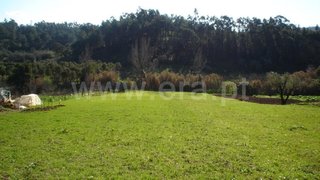 Land for sale in Rio Maior, Portugal — €32,500