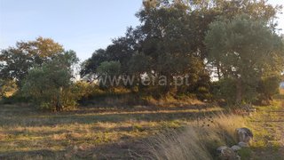 Land for sale in Tomar, Portugal — €29,920