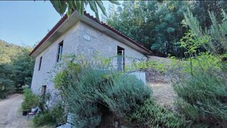 Terreno para venda em Seia, Portugal