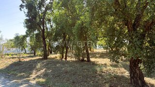 Land for sale in Tomar, Portugal — €40,000
