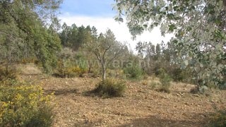 Land for sale in Penamacor, Portugal — €6,100