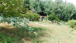 Land for sale in Oliveira do Hospital, Portugal — €40,000