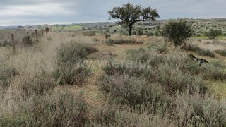 Land for sale in Vila Velha de Ródão, Portugal — €18,000