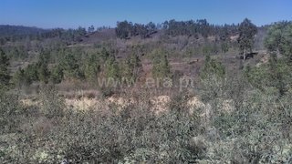 Land for sale in Arganil, Portugal