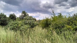 Land for sale in Fundão, Portugal — €6,750